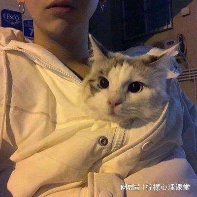 哆啦A梦童话大冒险官方下载