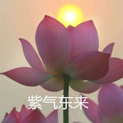 伏魔时代手游下载